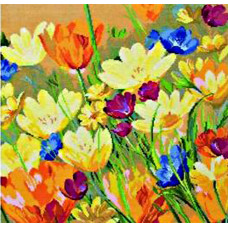 01219-5678000 Meadow