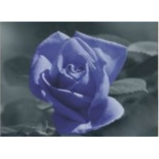 1007 Мозаика Cristal 'Волшебная роза', 50*50 см