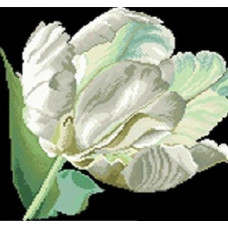 7616 Мозаика Cristal 'Белый тюльпан', 40*40 см