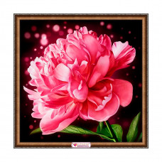 АЖ-1784 Картина стразами «Сверкающий пион» 25*25см