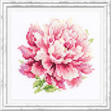 150-007 Пион