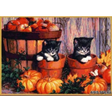 1115 Котята