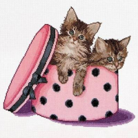734А Котята близнецы в коробке, Аида